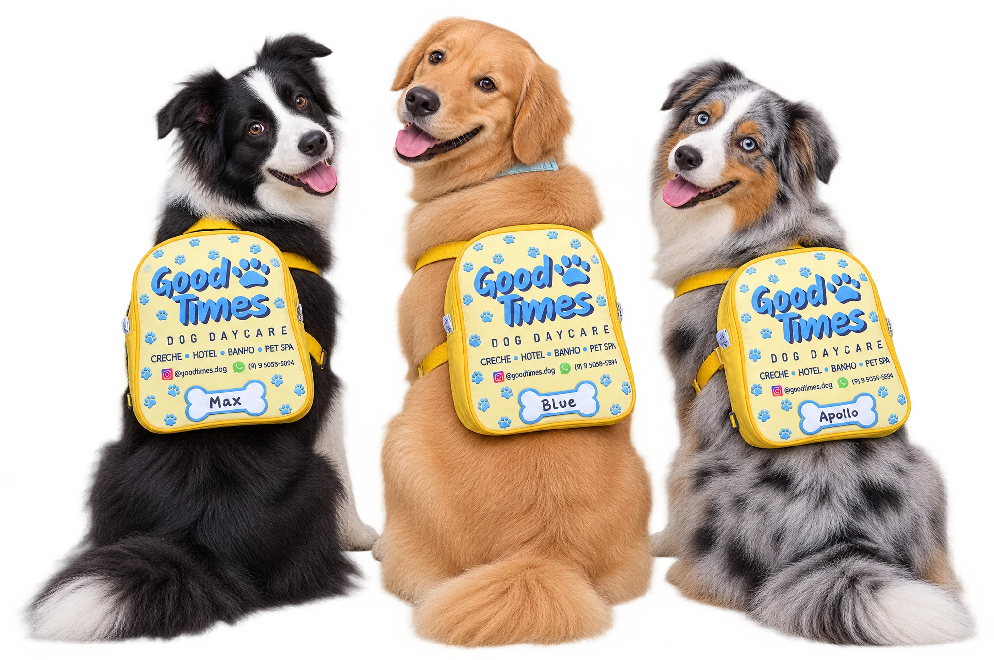 Três cães de costas com a mochila da Good Times, olhando pra trás
